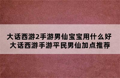 大话西游2手游男仙宝宝用什么好 大话西游手游平民男仙加点推荐